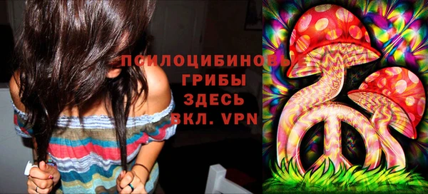 гашик Алексин