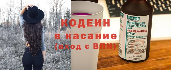 гашик Алексин