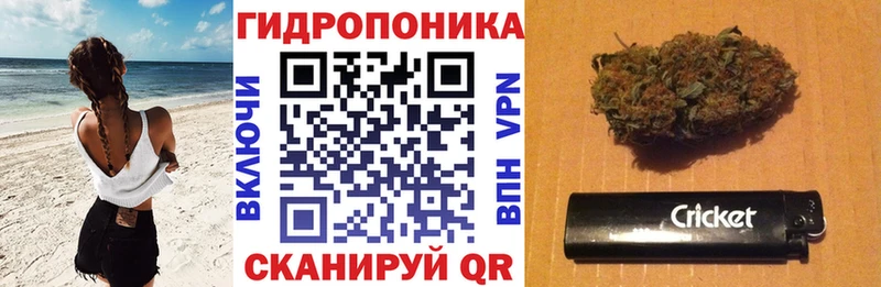 Каннабис план  Павлово 